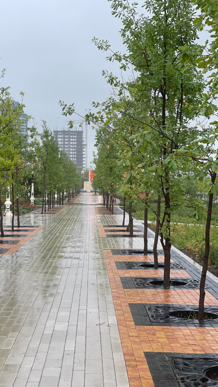 Приствольная решетка для дерева ZKING CRUST 1.2х1.2м Черная в Шатуре фото